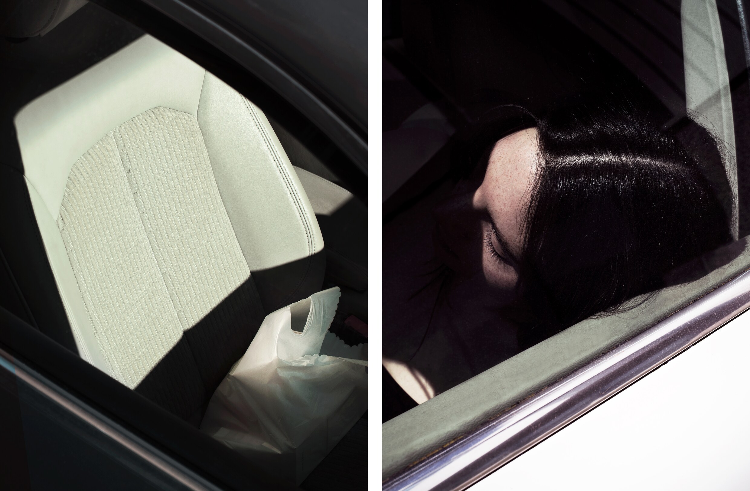 &lsquo;Dahlia&rsquo;