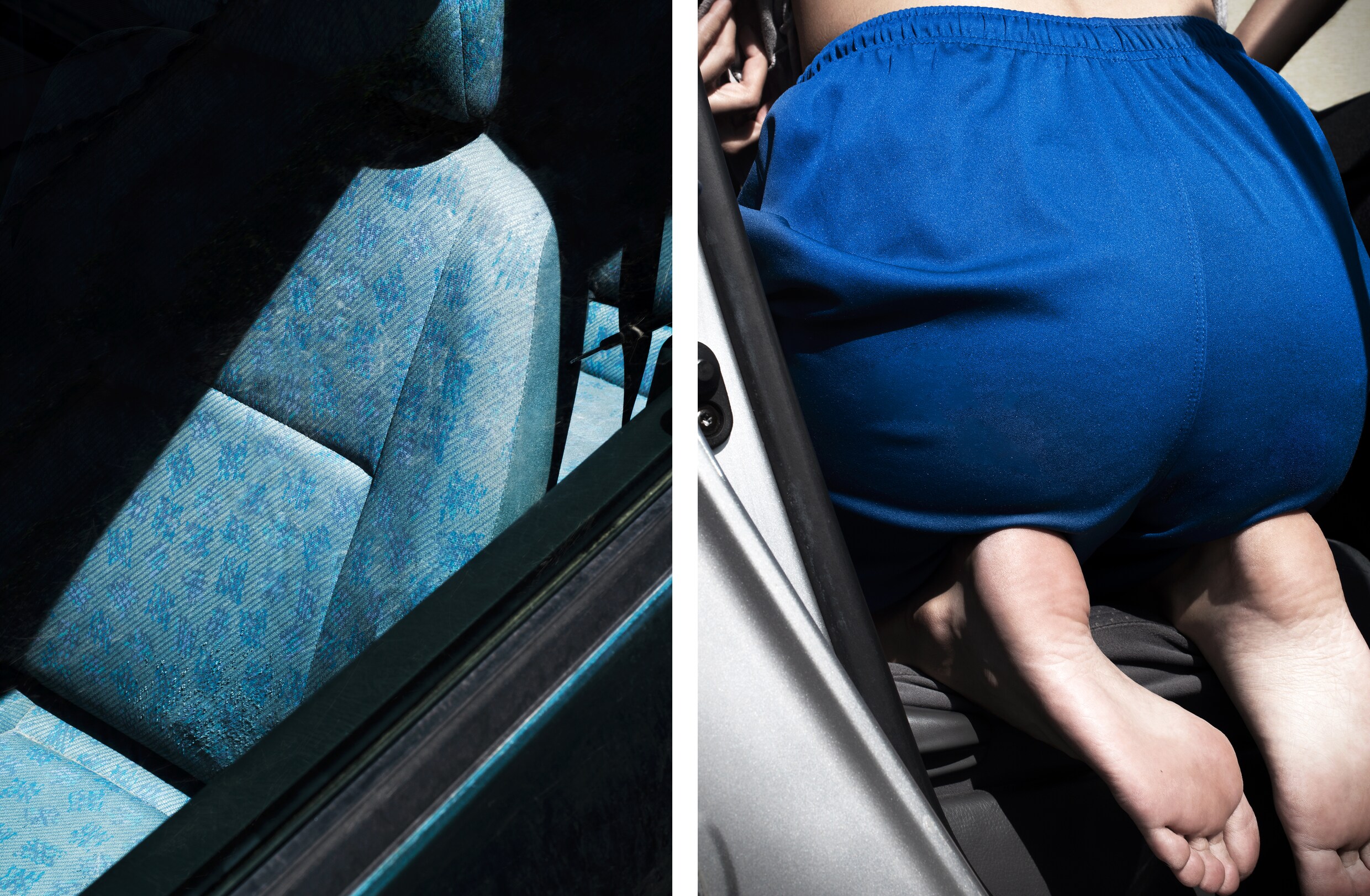 &lsquo;Dahlia&rsquo;